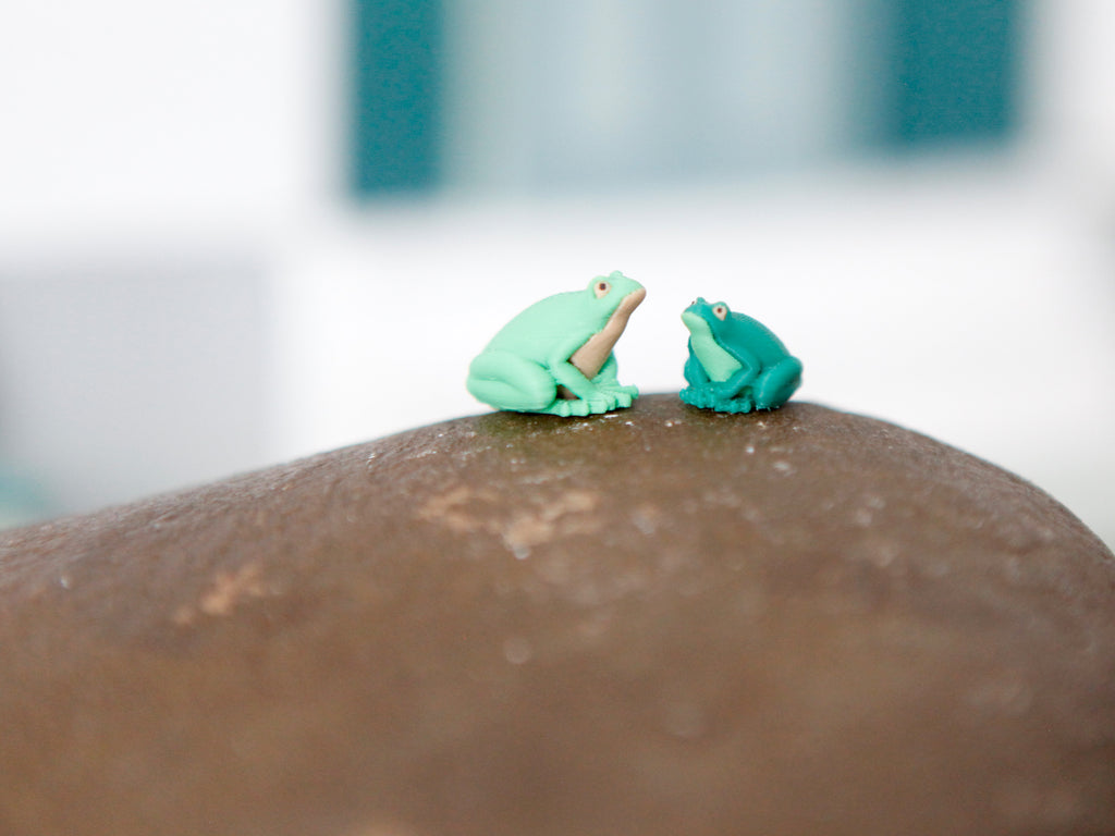 Miniatur Frosch