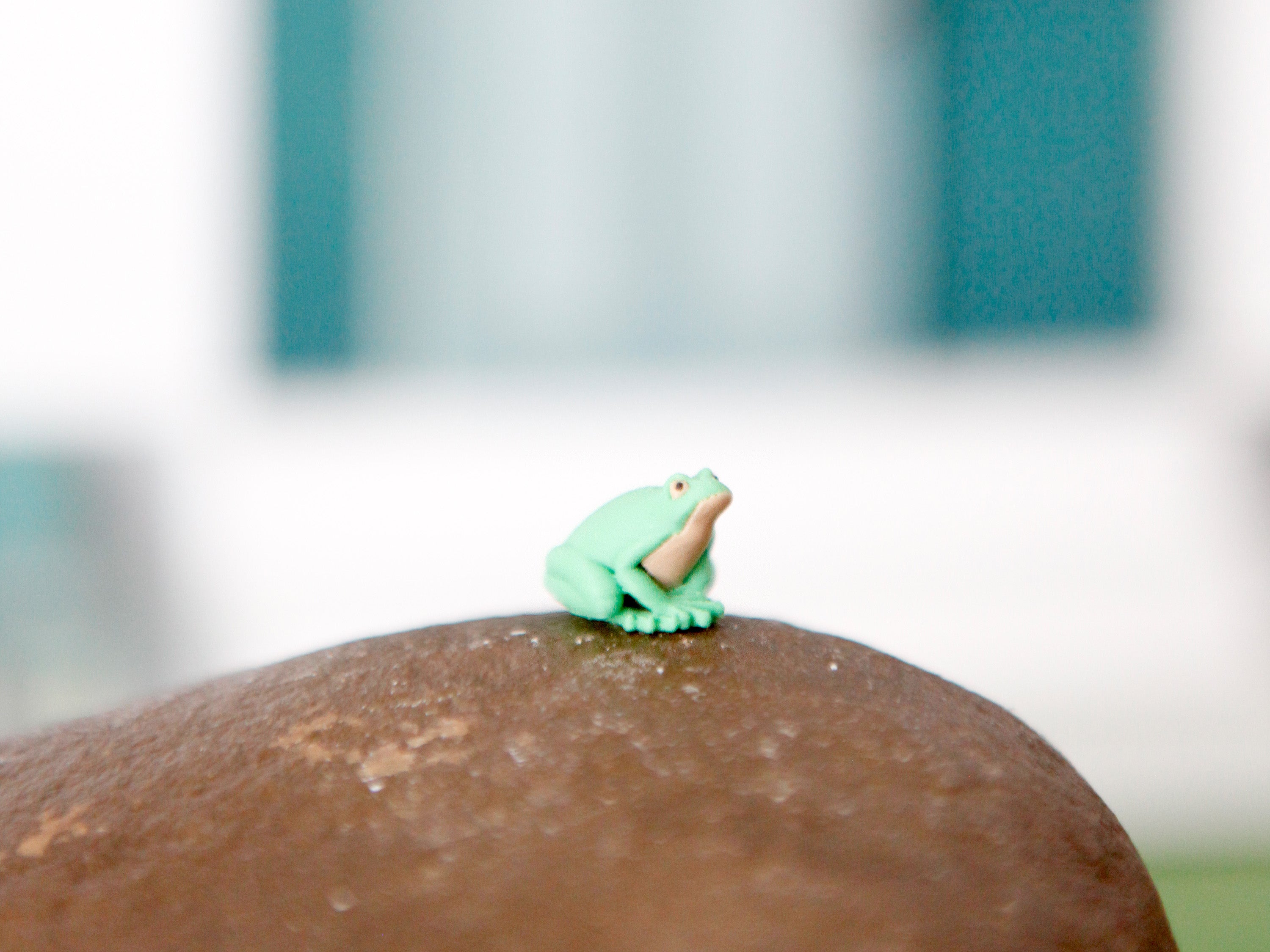 Miniatur Frosch
