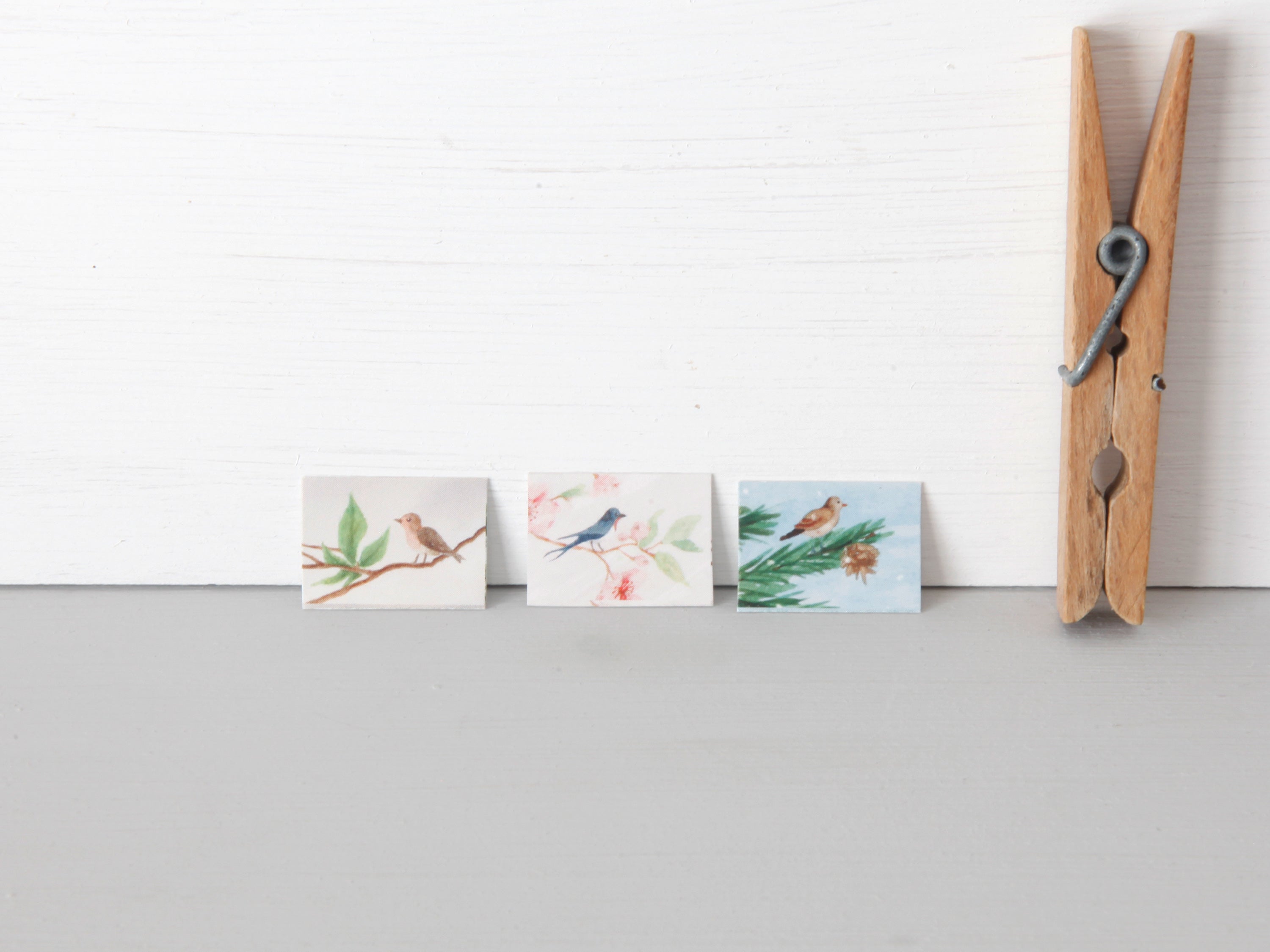 Miniatur Postkarten Set Aquarelle